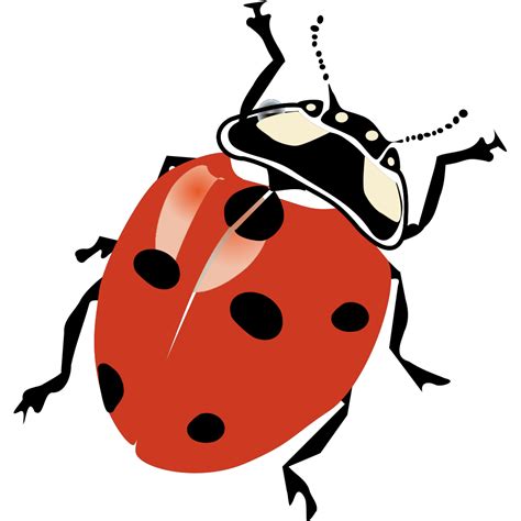 Blue Ladybug Png Svg Clip Art For Web Download Clip Art Png Icon Arts