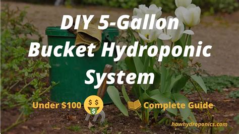 Diy 5 Gallon Bucket Hydroponic System On A Budget How Hydroponics