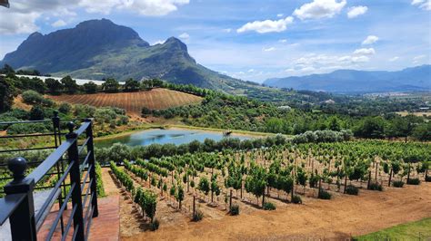 The Cape Winelands A Wine Tasting Guide New Places To Go