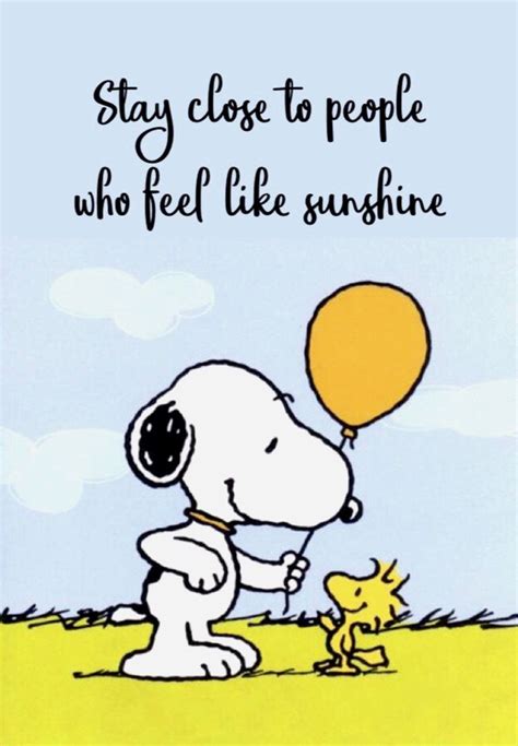 ️snoopy And Woodstock ️ Snoopy Quotes Snoopy Images Snoopy Funny