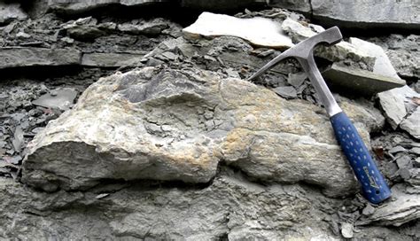 Mysterious Out Of Place Rocks In The Ordovician Of Kentucky Wooster
