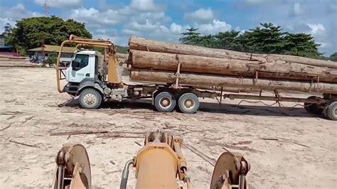 Logging Kalimantan Bongkar Muatan Kayu Log Menggunakan Wheel Loader