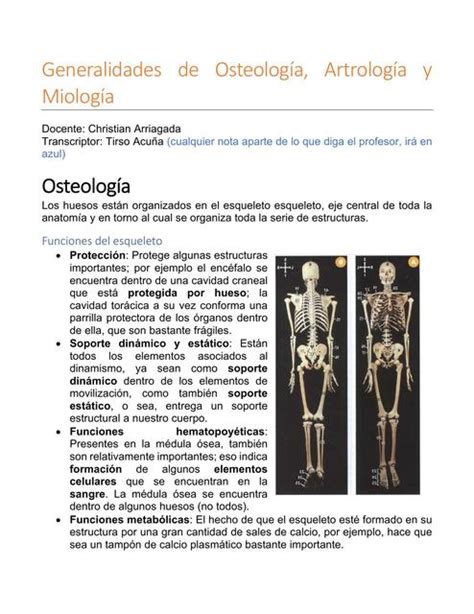 Generalidades De Osteología Artrología Y Miología Estefania Iturrieta