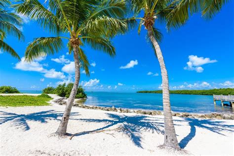 Our Guide To The Best Florida Keys Beaches Tranquility Bay Beach