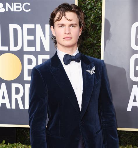 Ansel Elgort Breaks His Silence After Sexual Assault Allegation Crumpe