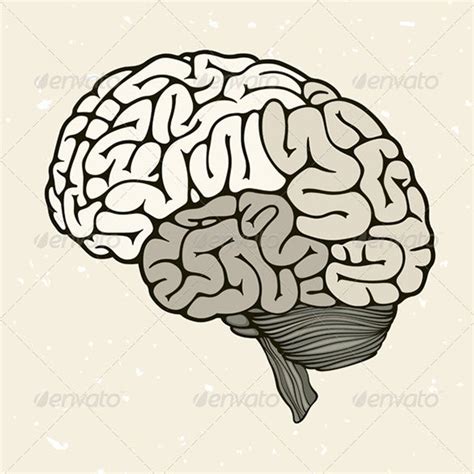 Human Brain Svg