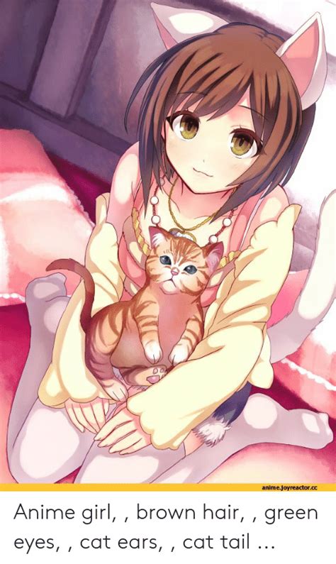 Brown Hair Anime Girl Kitty Anime Wallpaper Hd