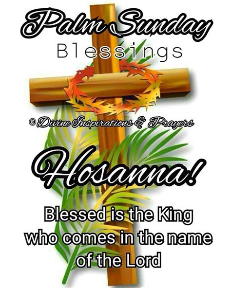 Palm Sunday Blessed Is The King Pictures Photos And Images For