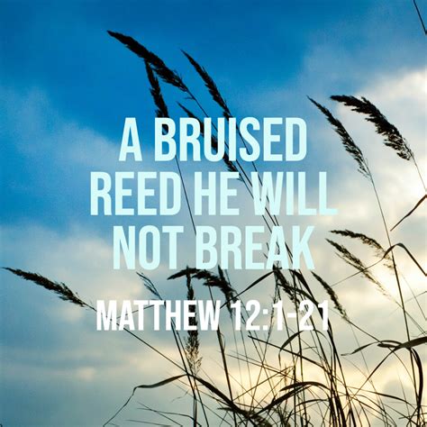 Matthew 121 21 A Bruised Reed He Will Not Break God Centered Life