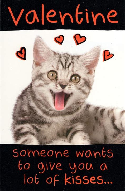 Funny Lots Of Kisses Kitten Valentines Day Greeting Card Cards