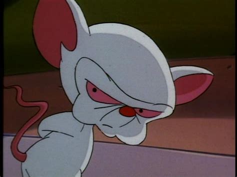 Pinky and the brain is an american animated television series that aired on kids' wb from 1995 to 1998. Brain | Pinky and the Brain Wiki | Fandom