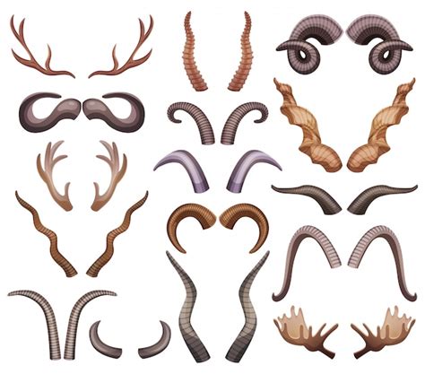 All Types Of Animal Horns 33 Goat Horn Ideas Animals Wild Pet Birds