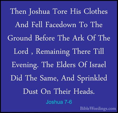 Joshua 7 Holy Bible English