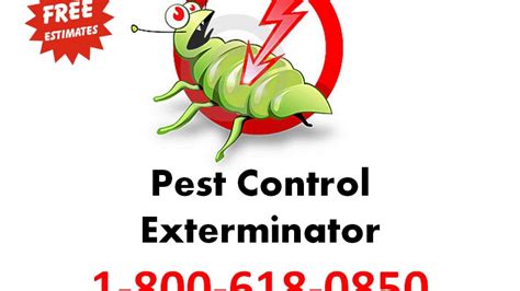 Pest Control Exterminator Service 1 800 618 0850 Youtube