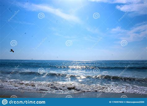 Ripples Of Blue Ocean Waves Rolling In At The Beach With A Bird And