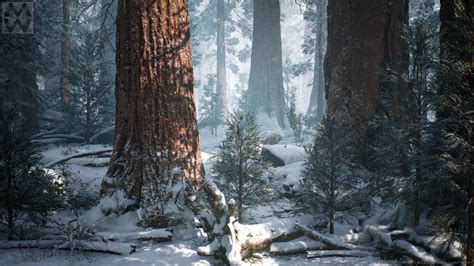 Artstation Ue4 Redwood Forest V2 Winter Update Willi Hammes Snow