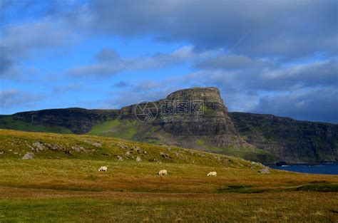 海景三重奏赫布里底群岛在苏格兰neistpoint牧草的三只羊高清图片下载 正版图片307746558 摄图网