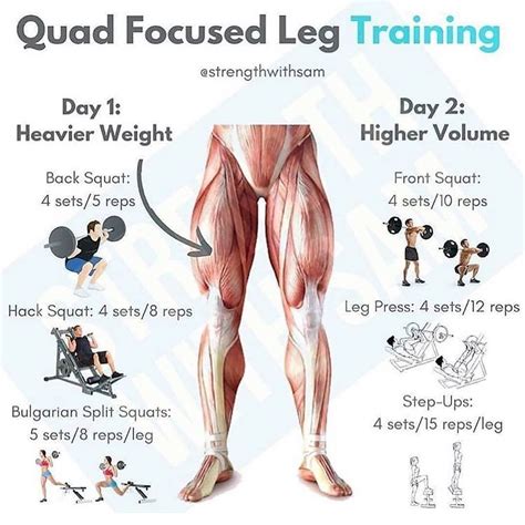 Musculation Fitness Et Workout Une Passion Leg Training Quad Exercises Lower Body Workout