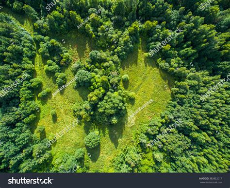 Aerial View Forest 스톡 사진 383852017 Shutterstock