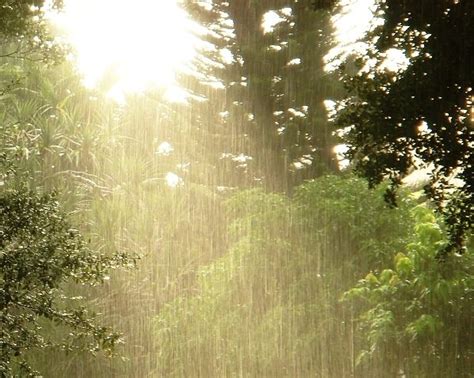 Sunshower Sunshower Summer Rain Rain Storm