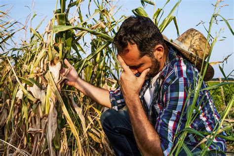 What Are 5 Problems Faced By Farmers