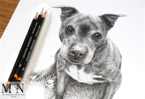 Dog Pencil Drawing 2 Melanie And Nicholas Pet Portraits