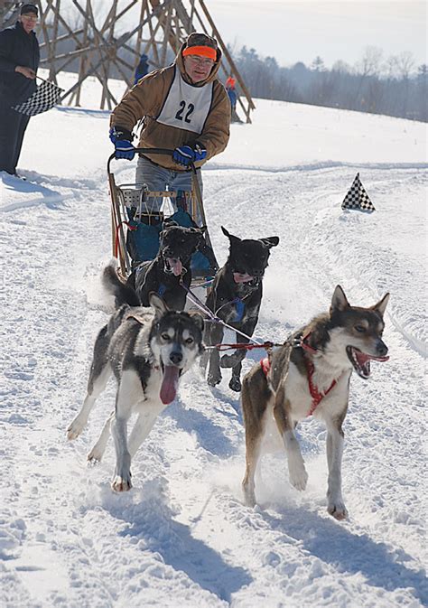 Farmington Dog Sled Races Set For Feb 7 And 8 Daily Bulldog