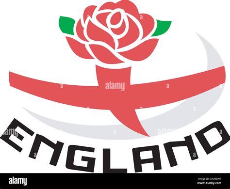 English Rose Stock Vector Images Alamy