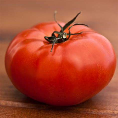 Tomato Beefsteak 10cm Tomatoes Garden World Nursery