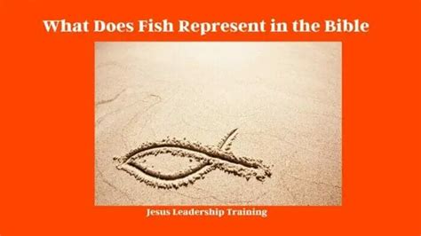 Fish Symbolism In The Bible 2024