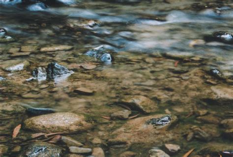 Moving Water 3 Free Photo Download Freeimages
