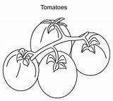 Coloring Tomatoes Pages Fruits Vegetables sketch template
