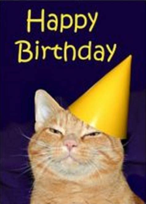 Found On Bing Happy Birthday Cat Cards Happy Birthday Cat Happy
