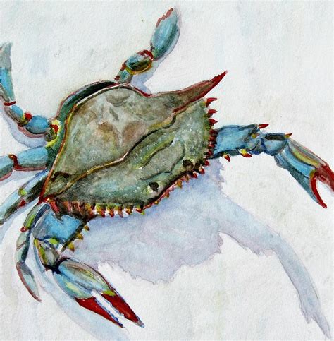 Blue Crab Painting By Pam Utton Fine Art America