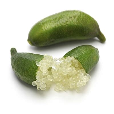 Finger limes are great in champagne, atop oysters, grilled salmon, sushi, or any seafood! finger limes, where can i buy finger limes, finger limes ...