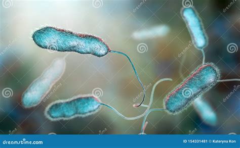 Legionella Pneumophila Bacterium The Causative Agent Of Legionnaire S