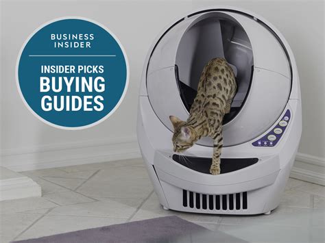 The Best Cat Litter Boxes You Can Buy Business Insider