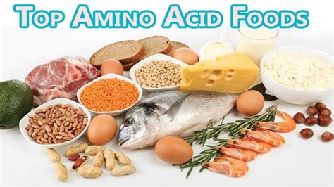 Foods Rich In Amino Acids Ii Suerenity 💗fitness Youtube