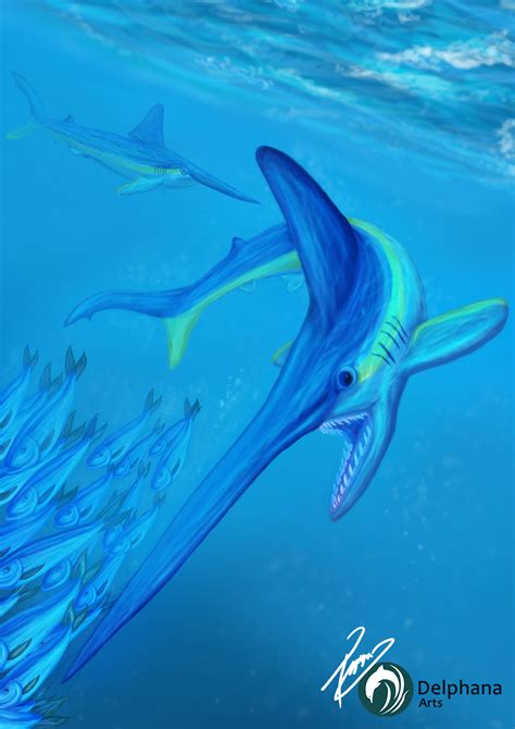 Artstation Sword Shark Illustration
