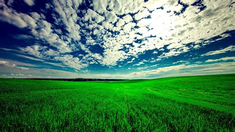 Field Sky Grass K Hd Wallpapers Hd Wallpapers Id