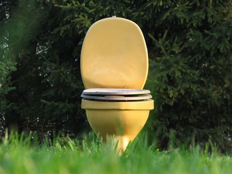 Best Waterless Toilet 2021 Reviews Renew It Source