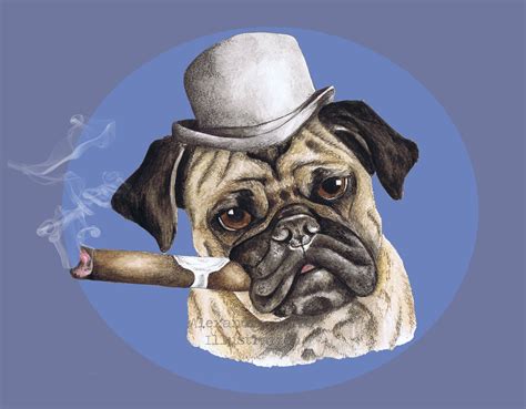 Dog Pug Smoking Cigar Wearing Bowler Hat By Alexandrarolfe On Etsy