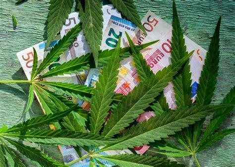 TLRY Stock Jumps | TGOD Signs License with Tilray and EnWave