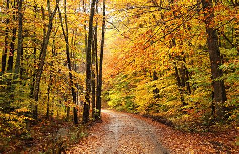 New Hampshire Fall Foliage Driving Tours
