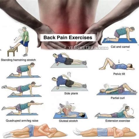 Back Pain Exercises Healthy Back Workout Training Lower Higher FITNESS HASHTAG Best
