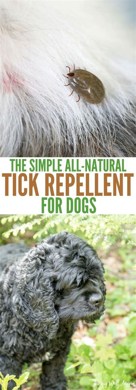 The Simple All-Natural Tick Repellent for Dogs | Tick repellent for ...