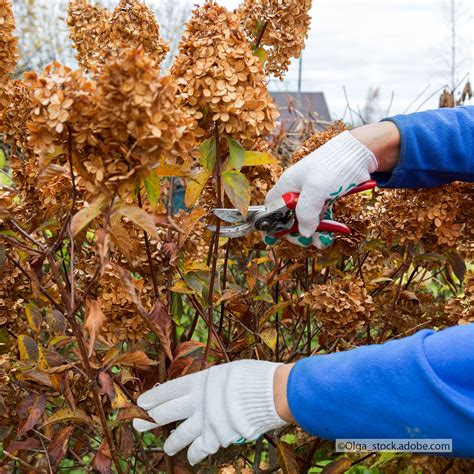 Check spelling or type a new query. Last-minute-Tipps: So machen Sie Ihren Garten winterfest ...