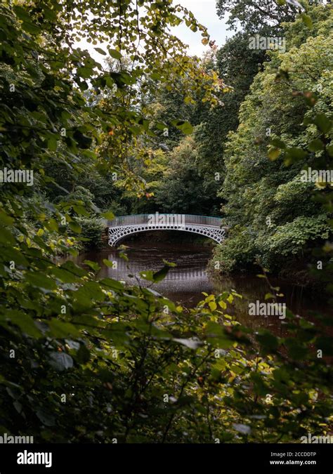 Linn Park Glasgow Stock Photo Alamy