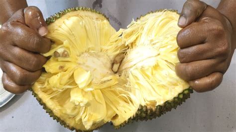 Super Fast Jackfruit Cutting Village Style Latexgum Off Of A Knife