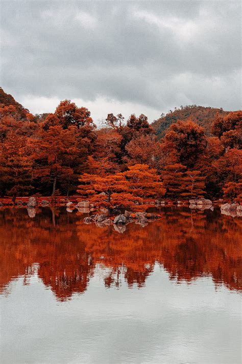 Lake Trees Reflection Autumn Nature Hd Phone Wallpaper Peakpx